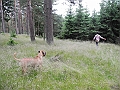 DSCN3604