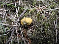 DSCN3607