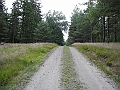 DSCN3610