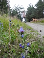 DSCN3611