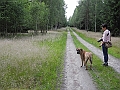 DSCN3613