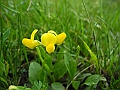 DSCN3614