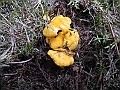 DSCN3629