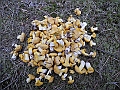 DSCN3632