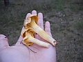 DSCN3635