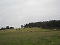 DSCN3646