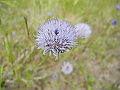 DSCN3684