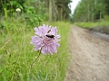 DSCN3688