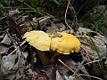 DSCN3695