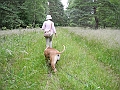 DSCN3702