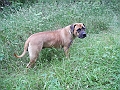 DSCN3703