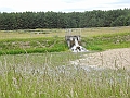 DSCN3705