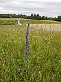 DSCN3707