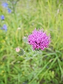 DSCN3710