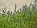 DSCN3716