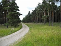 DSCN3718
