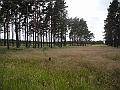 DSCN3722