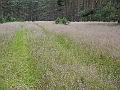 DSCN3725