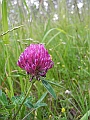 DSCN3731