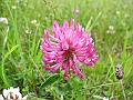 DSCN3733