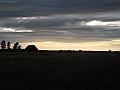 DSCN3737