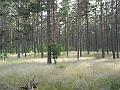 DSCN3786