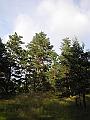 DSCN3787