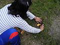 DSCN3790