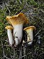 DSCN3797