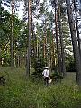 DSCN3804