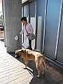 DSCN4915
