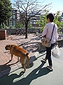 DSCN4917