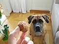 DSCN4921