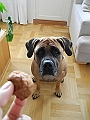 DSCN4922