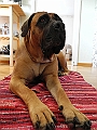 DSCN4944