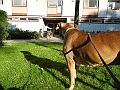 DSCN4986