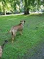 DSCN4988