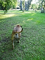 DSCN4989