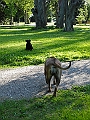DSCN4991