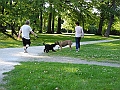 DSCN4993