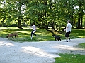DSCN4994