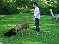 DSCN4996