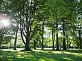 DSCN5004