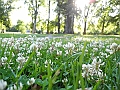 DSCN5009
