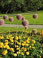 DSCN5023