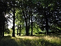 DSCN5032