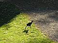DSCN5050