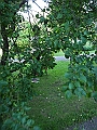 DSCN5051