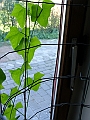 DSC04635