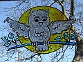 DSC04658